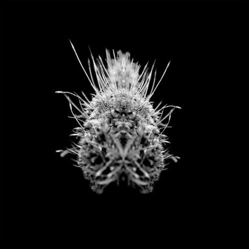 Selm: TiiiER / Post-Adrenaline - VINYL LP