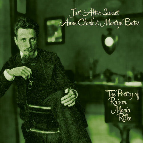 Anne Clark: Just After Sunset - COMPACT DISCS