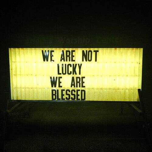 Ben Trickey: We Are Not Lucky We Are Blessed - VINYL LP