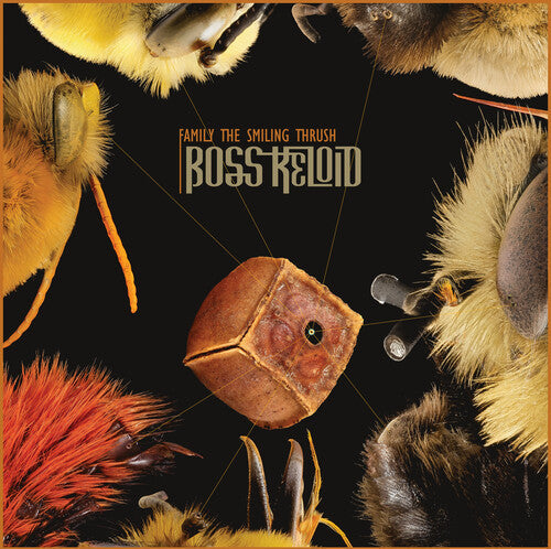 Boss Keloid: Family The Smiling Thrush - VINYL LP