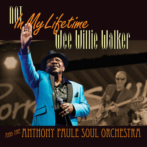Wee Willie Walker: Not In My Lifetime - VINYL LP