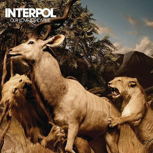 Interpol: Our Love To Admire - VINYL LP