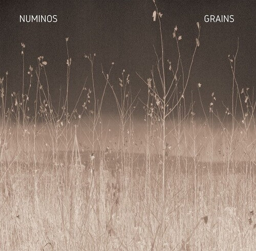 Numinos: Grains - VINYL LP