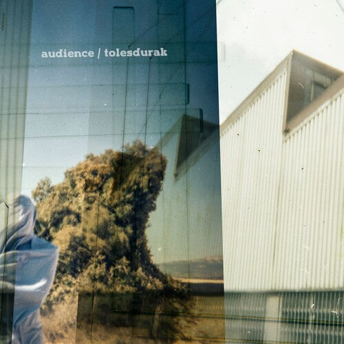 The Audience: Tolesdurak - VINYL LP