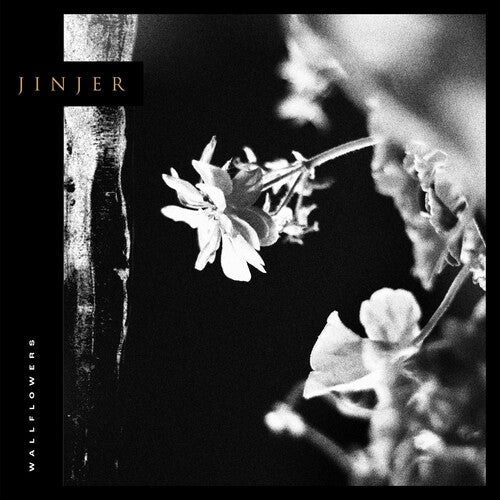 Jinjer: Wallflowers - COMPACT DISCS