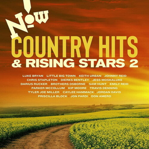 Various Artists: Now Country: Hits & Rising / Various - COMPACT DISCS