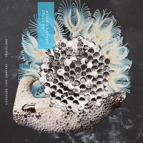 Atsuko Hatano: Cells 5 - CASSETTES