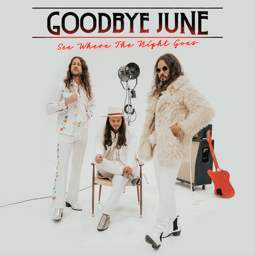 Goodbye June: See Where The Night Goes - VINYL LP
