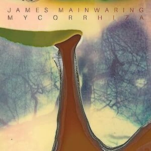 James Mainwaring: Mycorrhiza - COMPACT DISCS