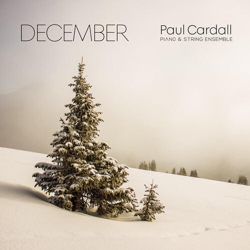 Paul Cardall: December - COMPACT DISCS