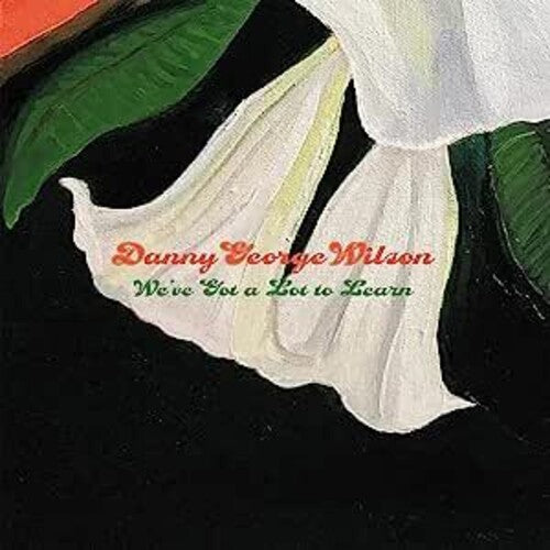 Danny George Wilson: We've Got A Lot To Learn - 7-INCH SINGLE