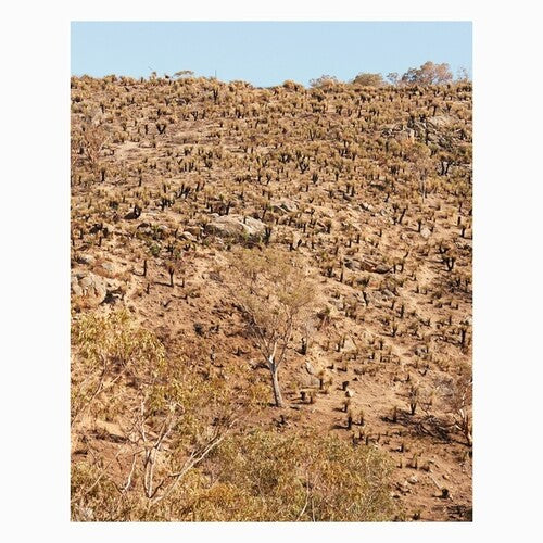 Andrew Pekler: Palimpsests - VINYL LP
