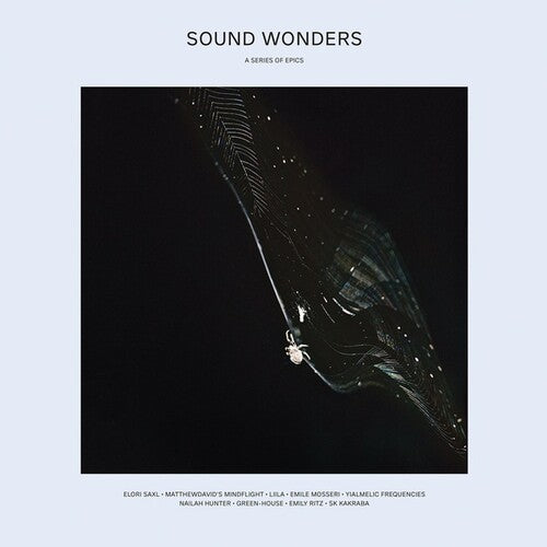 Various Artists: Sound Wonders (Various Artists) - VINYL LP
