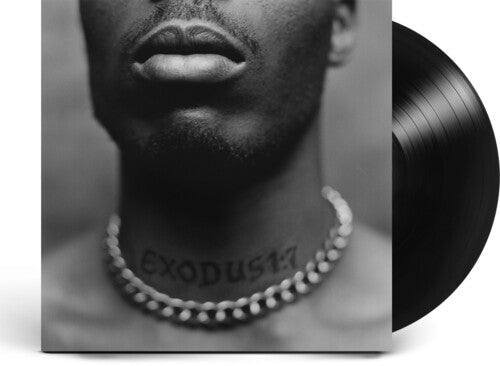 DMX: Exodus - VINYL LP