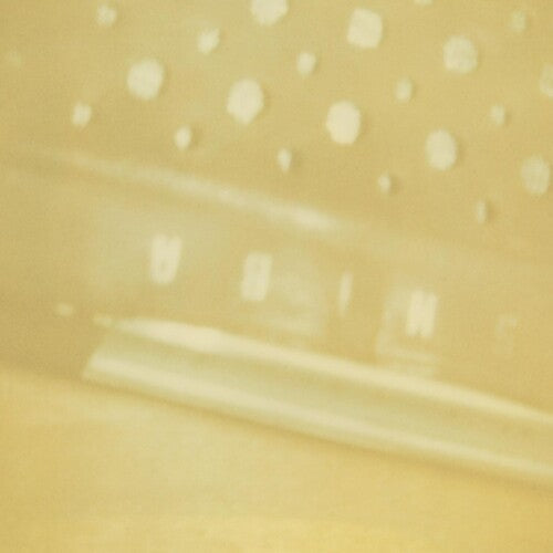 Steve Roden: Radio Airria (Hanging Garden) / Vein Stem Is Calm - COMPACT DISCS