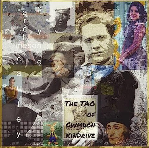Meson: Tao Of Cwmdonkin Drive - COMPACT DISCS