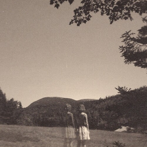 Goldmund: The Malady Of Elegance - VINYL LP