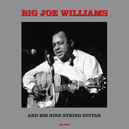 Big Joe Williams: And His Nine String Guitar (180gm Vinyl) - VINYL LP