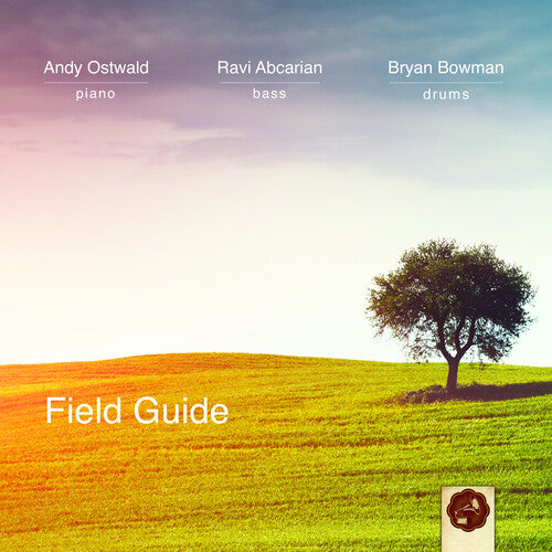 Andy Trio Ostwald: Field Guide - COMPACT DISCS