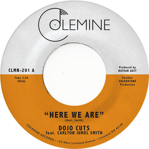Dojo Cuts: Here We Are (Coke Bottle Clear) - VINYL LP