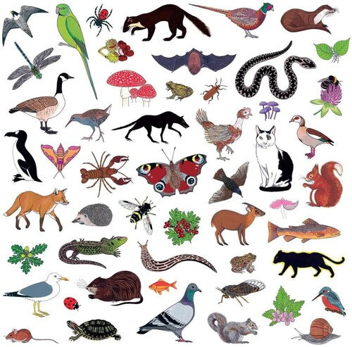 Modern Nature: Island of Noise - COMPACT DISCS