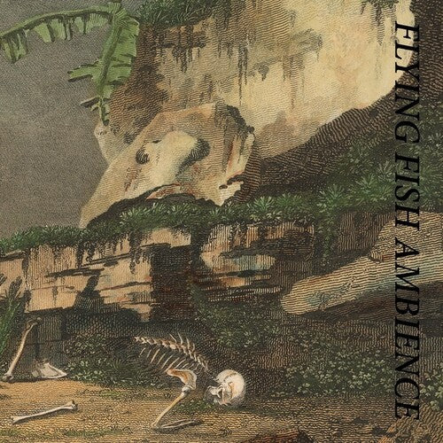 Rainforest Spiritual Enslavement: Flying Fish Ambience - COMPACT DISCS
