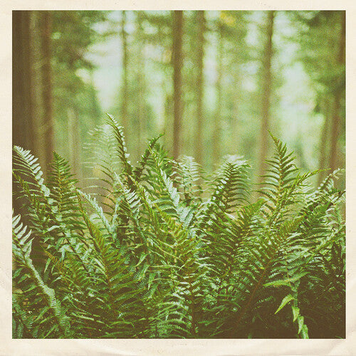 mtbrd: Just Visiting - 7-INCH SINGLE