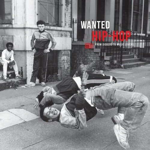 Various Artists: Wanted Hip-Hop / Various - VINYL LP