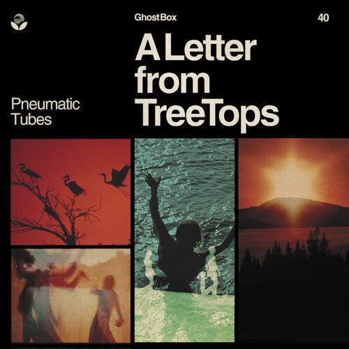 Pneumatic Tubes: Letter From Treetops - VINYL LP