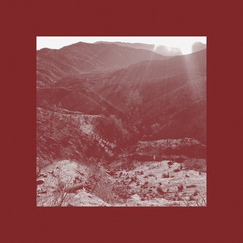 Ian Wellman: On Darkest Day You Took My Hand & Swore It Okay - COMPACT DISCS