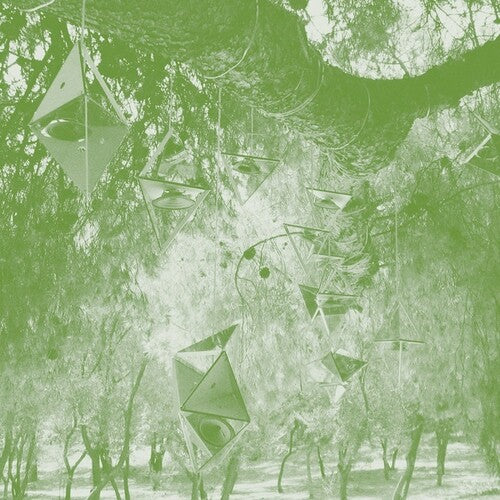 Steve Roden: Oionos - COMPACT DISCS