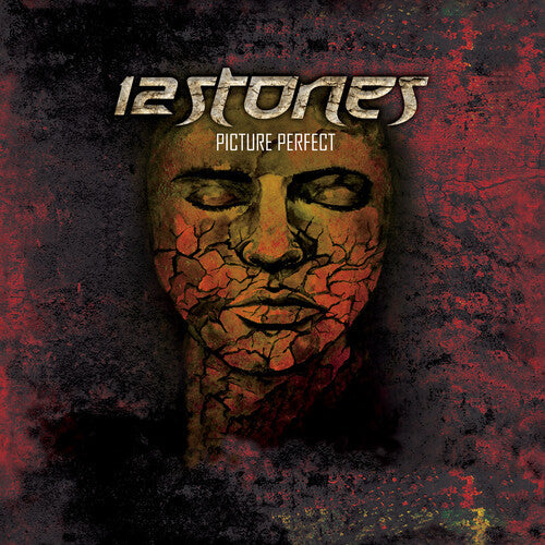 12 Stones: Picture Perfect - VINYL LP