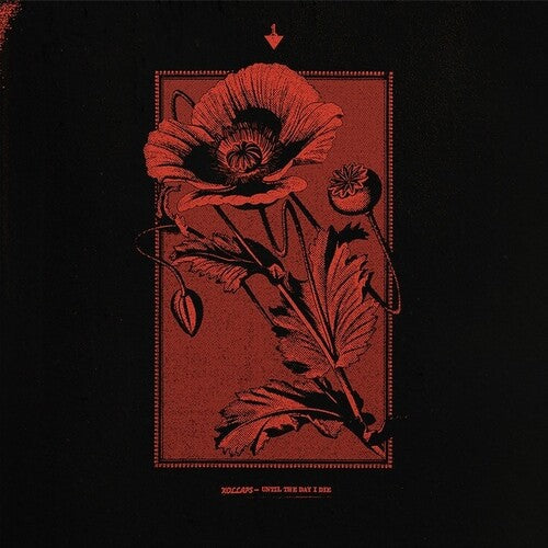 Kollaps: Until The Day I Die - VINYL LP