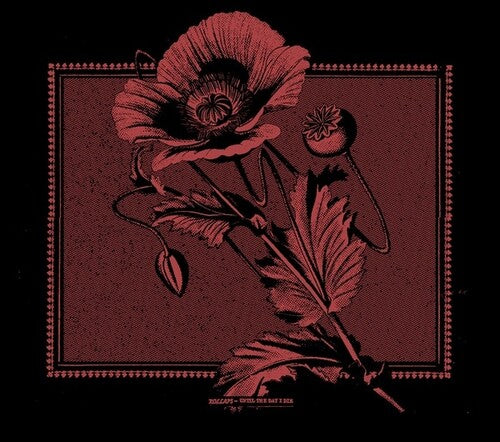 Kollaps: Until The Day I Die - COMPACT DISCS