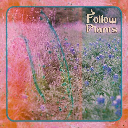 Limalo: Follow Plants - CASSETTES