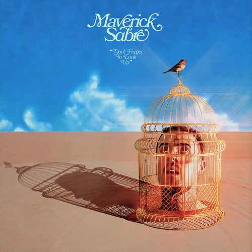 Maverick Sabre: Don't Forget To Look Up - VINYL LP