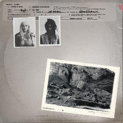 700 Bliss: Nothing To Declare - VINYL LP