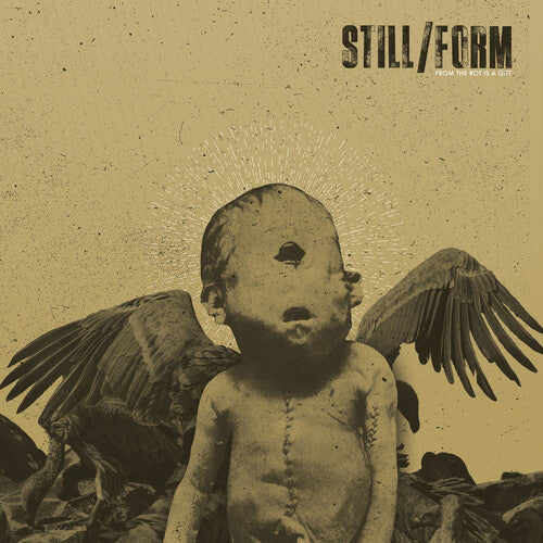 Still/Form: From The Rot Is A Gift - COMPACT DISCS