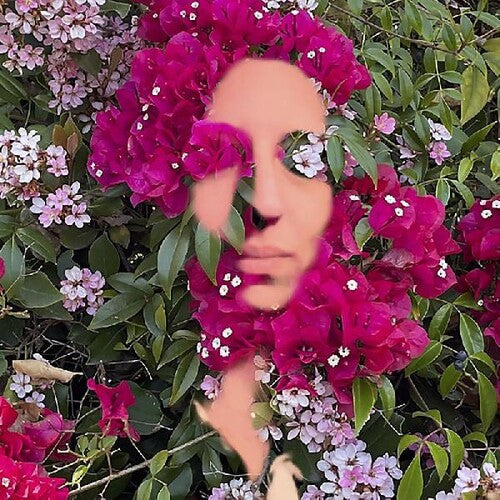 Daisy Press: You Are The Flower Music From Hildegard Von Bingen - COMPACT DISCS