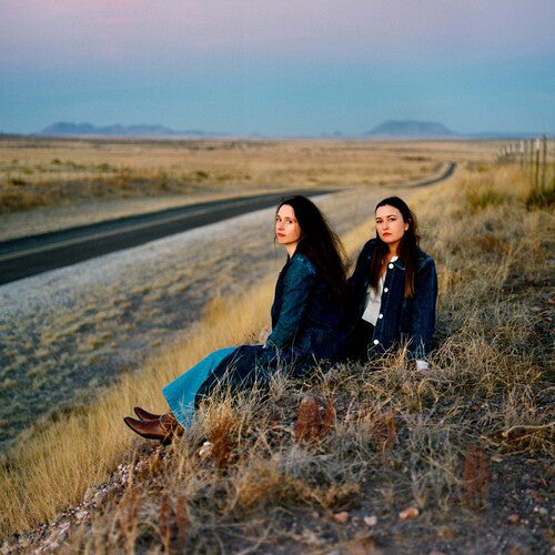 Plains: I Walked With You A Ways - VINYL LP