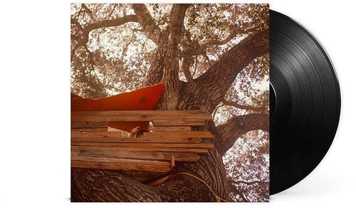 Backseat Lovers: Waiting To Spill - VINYL LP