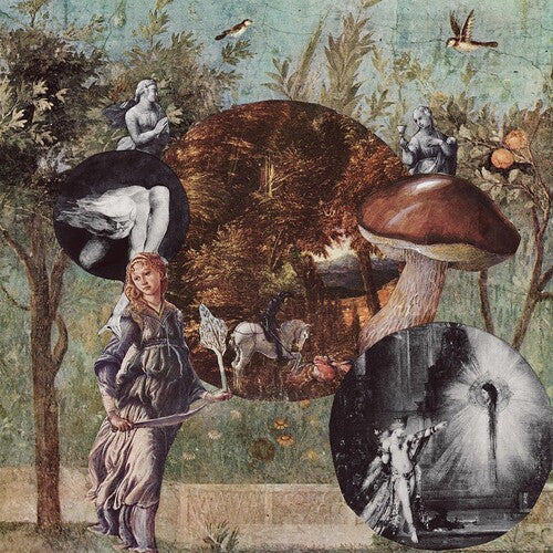 Native Harrow: Old Kind Of Magic - COMPACT DISCS