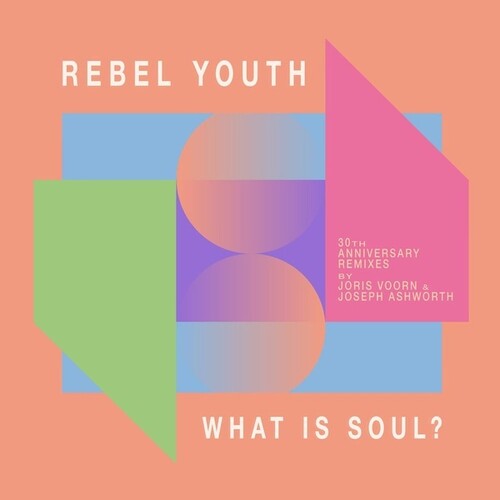 Rebel Youth: What Is Soul? (30th Anniversary Remixes) - 12-INCH SINGLE