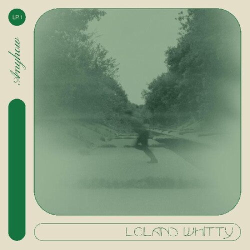 Leland Whitty: Anyhow - COMPACT DISCS