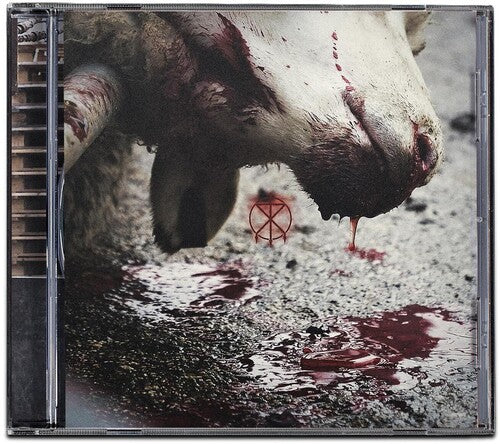 To the Grave: Director's Cuts - COMPACT DISCS