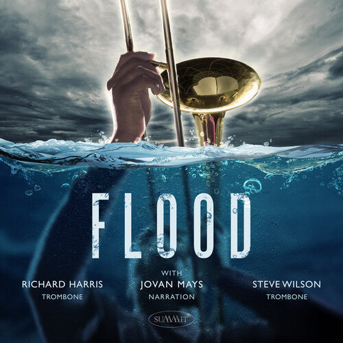 Wilson, Steve / Harris, Richard / Mays, Jovan: Flood - COMPACT DISCS