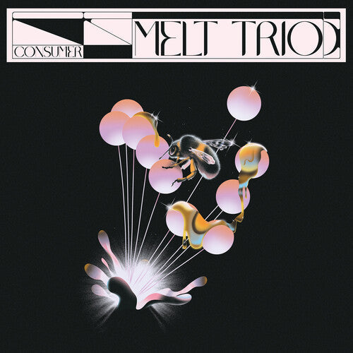 Melt Trio: Consumer - COMPACT DISCS