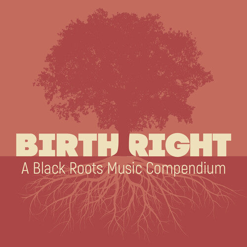 Various Artists: Birthright: A Black Roots Music Compendium (Various Artists) - COMPACT DISCS