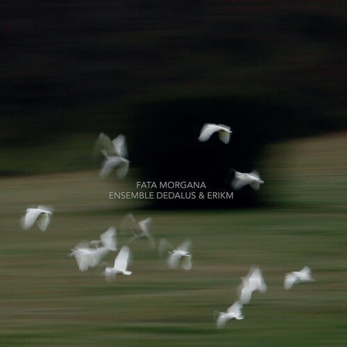Ensemble Dedalus: FATA MORGANA - COMPACT DISCS