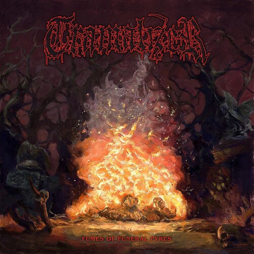Tramalizer: FUMES OF FUNERAL PYRES - VINYL LP